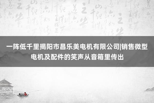 一阵低千里揭阳市昌乐美电机有限公司|销售微型电机及配件的笑声从音箱里传出